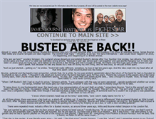 Tablet Screenshot of bustedonline.org